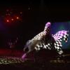 020906_goa