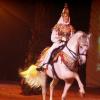 0906 ~ GOA Horse Musical