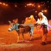 020906_goa