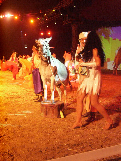 020906_goa