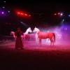 020906_goa