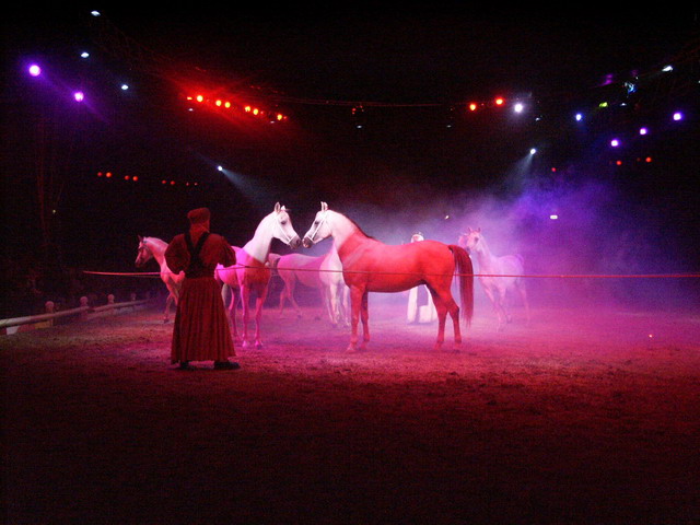 020906_goa