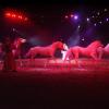 020906_goa