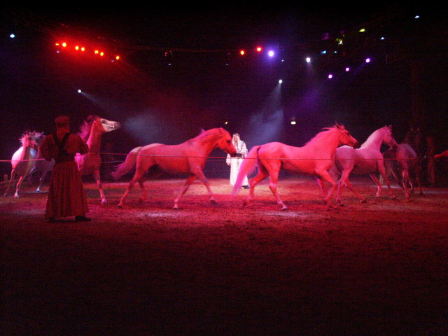 020906_goa