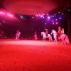 020906_goa