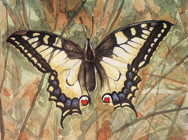 020818_butterfly1.jpg