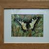 020818_butterfly2.jpg
