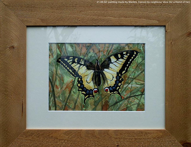 020818_butterfly2.jpg