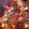 021218_1_xmastree.jpg 