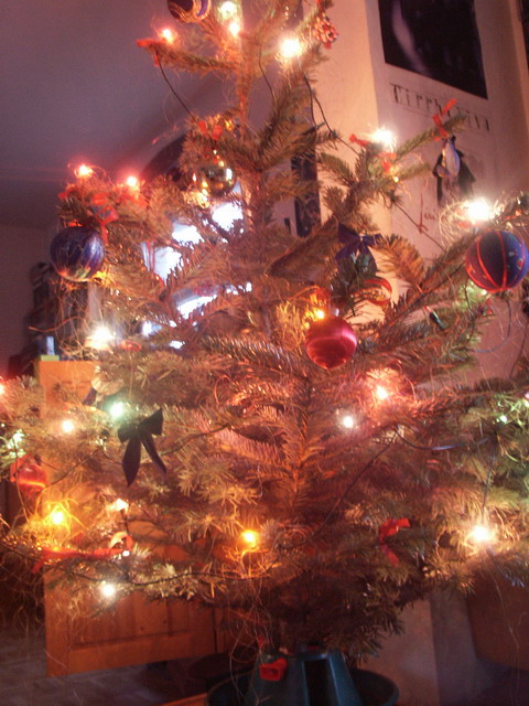 021218_1_xmastree.jpg 