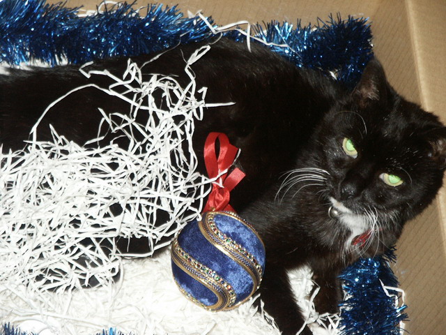 021221_lars.jpg