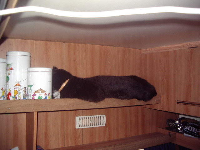 camping240704_cleaning06