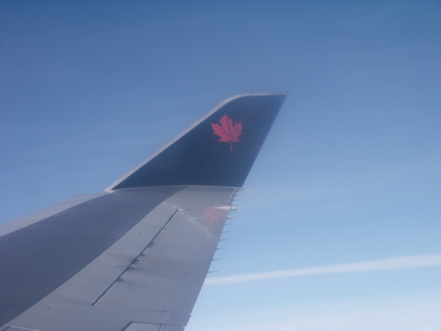 can060904_04_mapleleaf