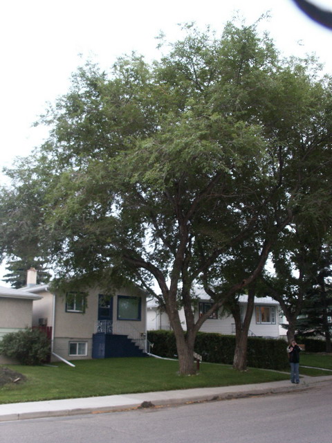 can070904_14_canadianhouses