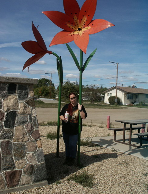 can080904_07_saskflower
