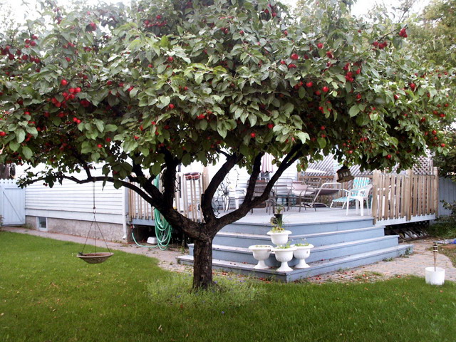can080904_35_brentjenshouse