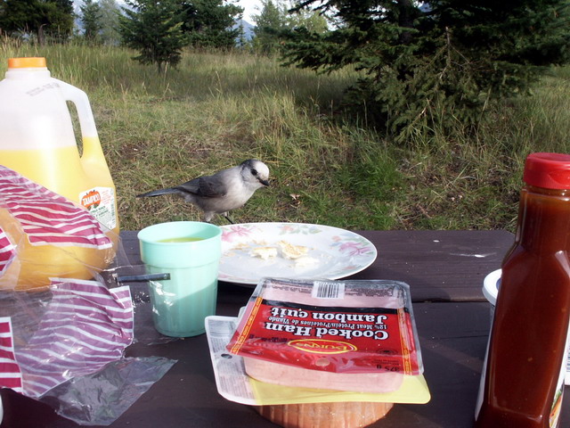 can100904_21_tunnelmountaincampground