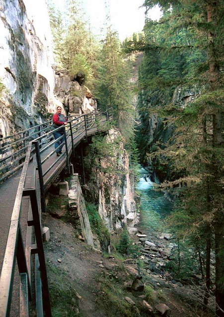 can120904_08n_marlies_johnston_canyon