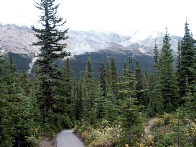 can130904_41_peytolaketrail
