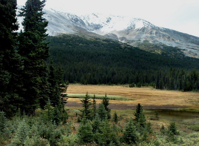 can130904_48_meadows