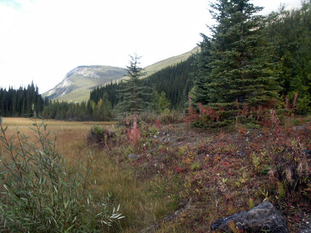 can170904_27_icefieldsparkway