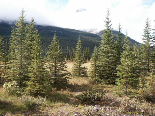 can170904_29_icefieldsparkway