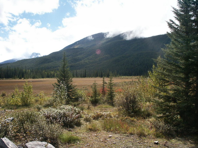 can170904_30_icefieldsparkway