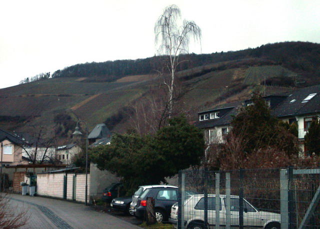 aw140205_39_jacobrauschstrasse
