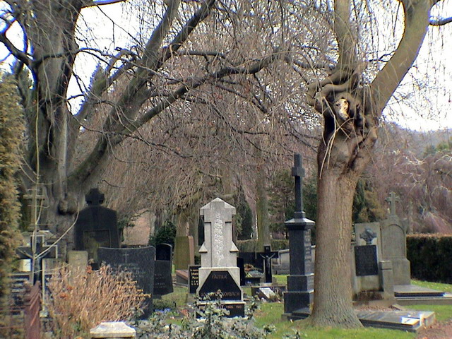 dannysandy110305_14s_heerlen_graveyard