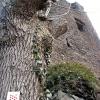 dannysandy130305_56_altenahr_sandyscastle_rotweinwanderweg