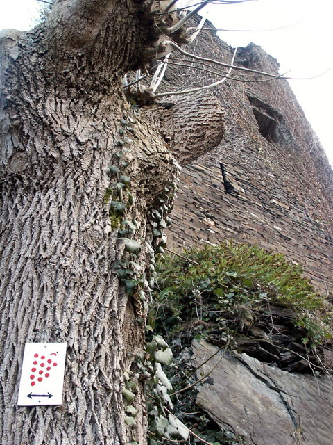 dannysandy130305_56_altenahr_sandyscastle_rotweinwanderweg