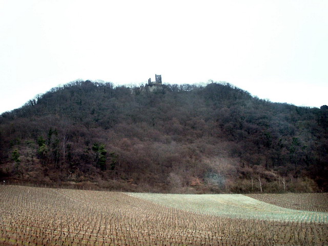 dannysandy140305_19_koenigswinter_drachenfels