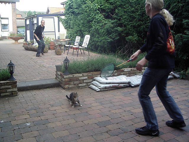bbq_paddy_cora_050529_02