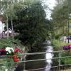 byh05_26_stein