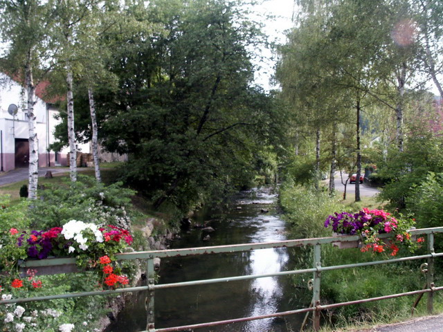 byh05_26_stein