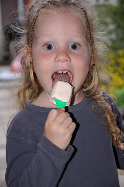 bbq_elsmaurice_010805_12