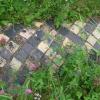 marlin150805_21m_valkenburg_castleruins_mosaic