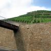 marlin160805_05m_ahrweiler_vineyard
