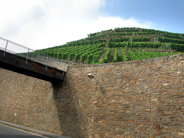 marlin160805_05m_ahrweiler_vineyard