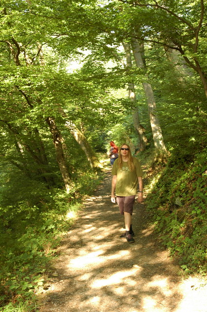 marlin170805_44_altenahr_castle