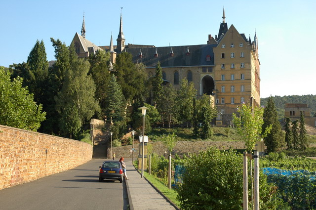 marlin170805_58_ahrweiler_abby