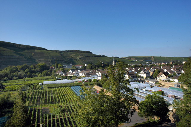marlin170805_61_ahrweiler_abby_view