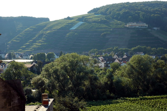 marlin170805_64_ahrweiler_abby_view