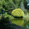 marlin180805_27_satzvey_castle_park