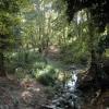 crete110905_75_plemeniana