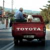 crete110905_92_between_kantanos_tavroniti