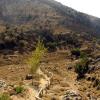 crete170905_018_imbros_gorge