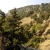 crete170905_039_imbros_gorge