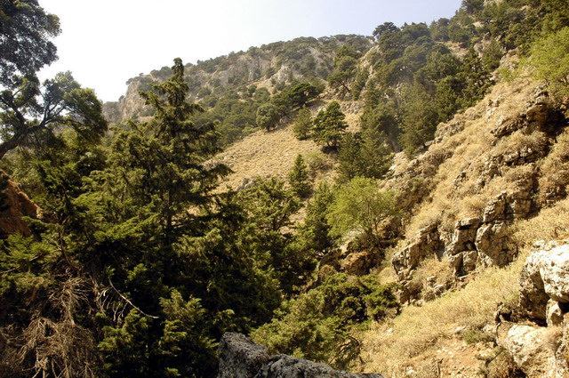 crete170905_039_imbros_gorge