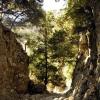crete170905_045_imbros_gorge